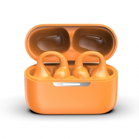 True Wireless Bluetooth Earbuds
